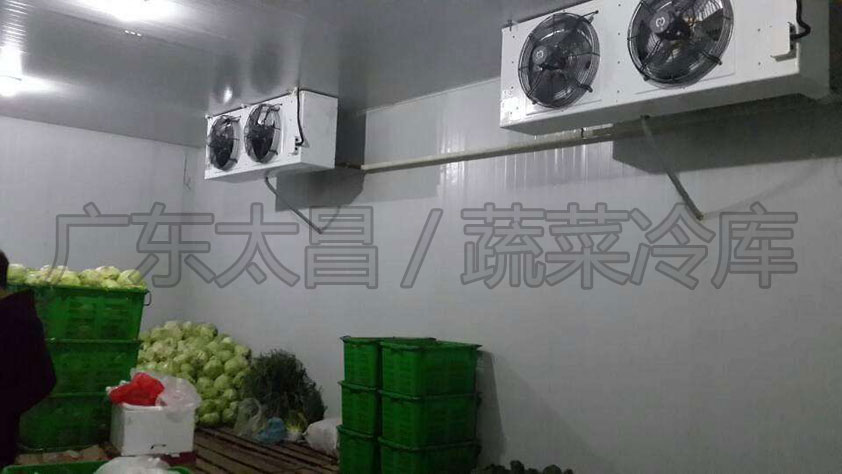 建造保鮮冷庫(kù)需要了解哪些方面？保鮮冷庫(kù)設(shè)計(jì)方案有哪些？
